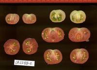 LA2288-2_ls.jpg